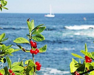 Hillcrest Condominiums Ogunquit Exterior photo